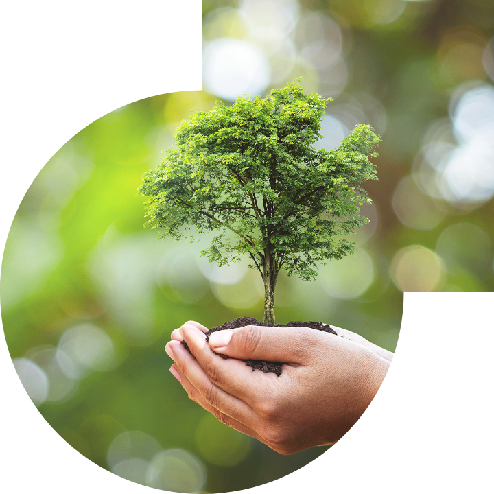 关怀人类、文化、环境与社会